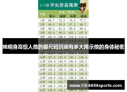 姚明身高惊人他的脚尺码到底有多大揭示他的身体秘密